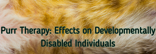 The Soothing Purrs of Purr Therapy: Unveiling its Effects on Developmentally Disabled Individuals