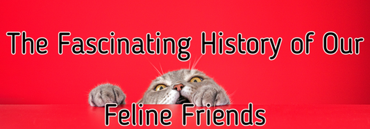 The Fascinating History of Our Feline Friends