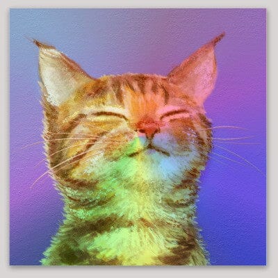 Content Kitty Holographic Sticker