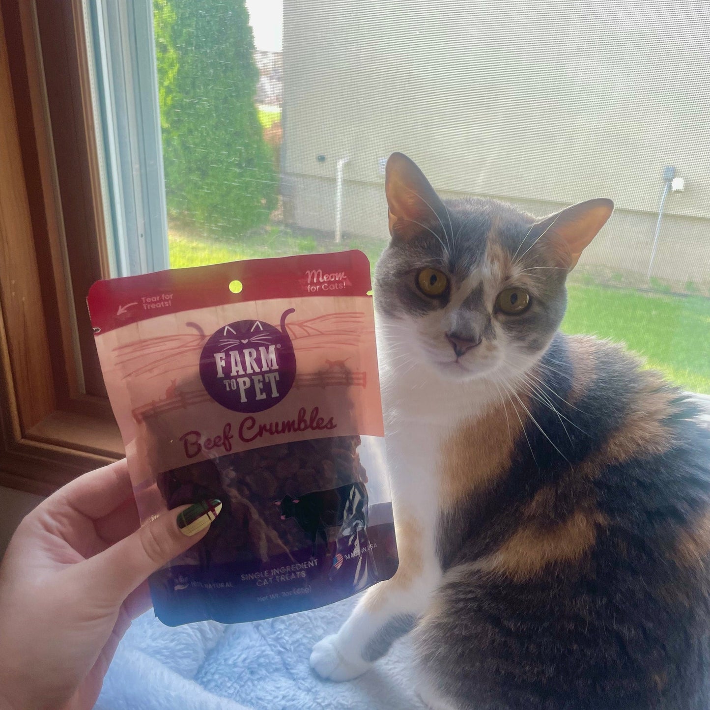 Beef Crumbles for Cats | 100% Protein Cat Treats