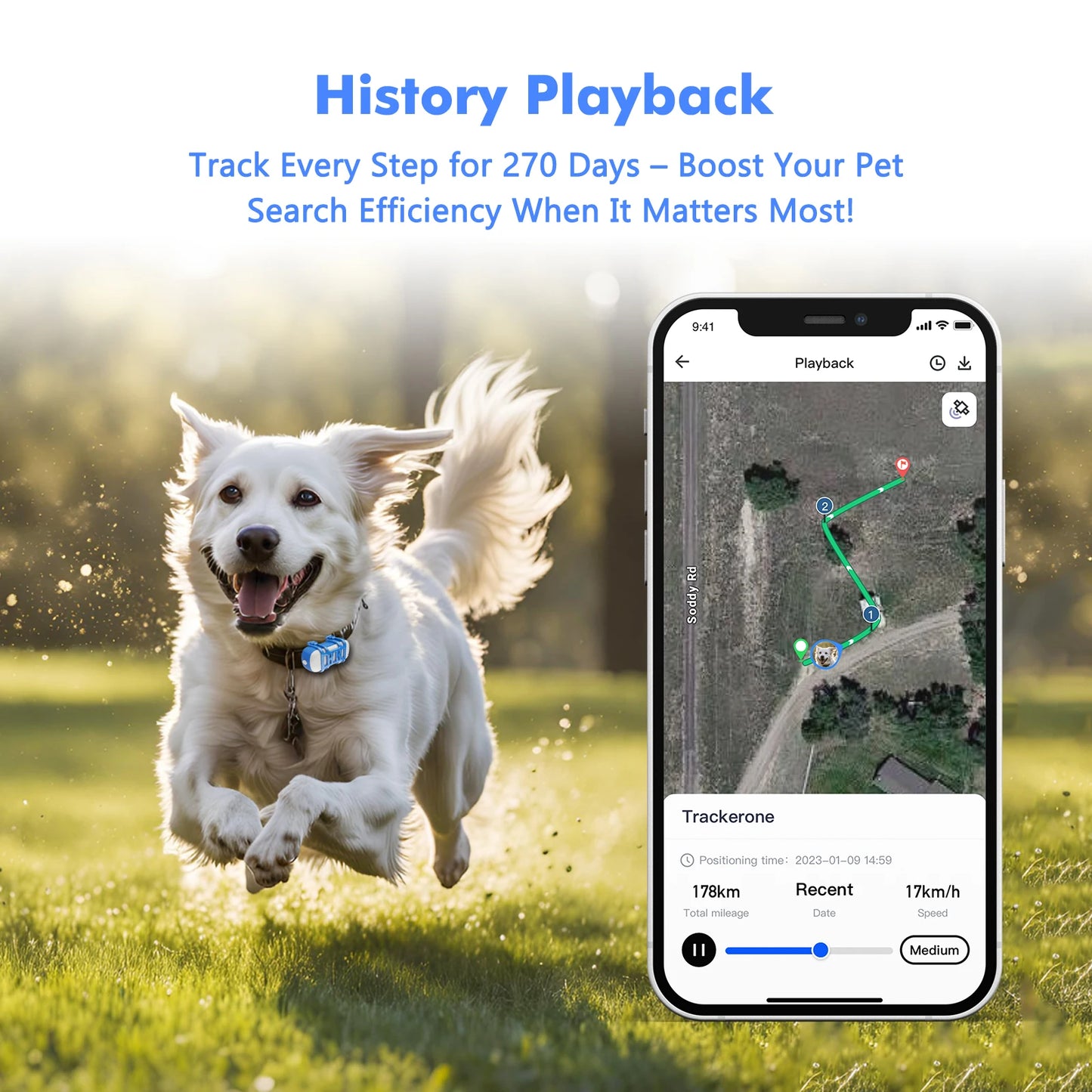 4G GPS Tracker for Pets - Waterproof Smart Locator with App, Live Tracking & Light/Sound Search, Free Trial Included