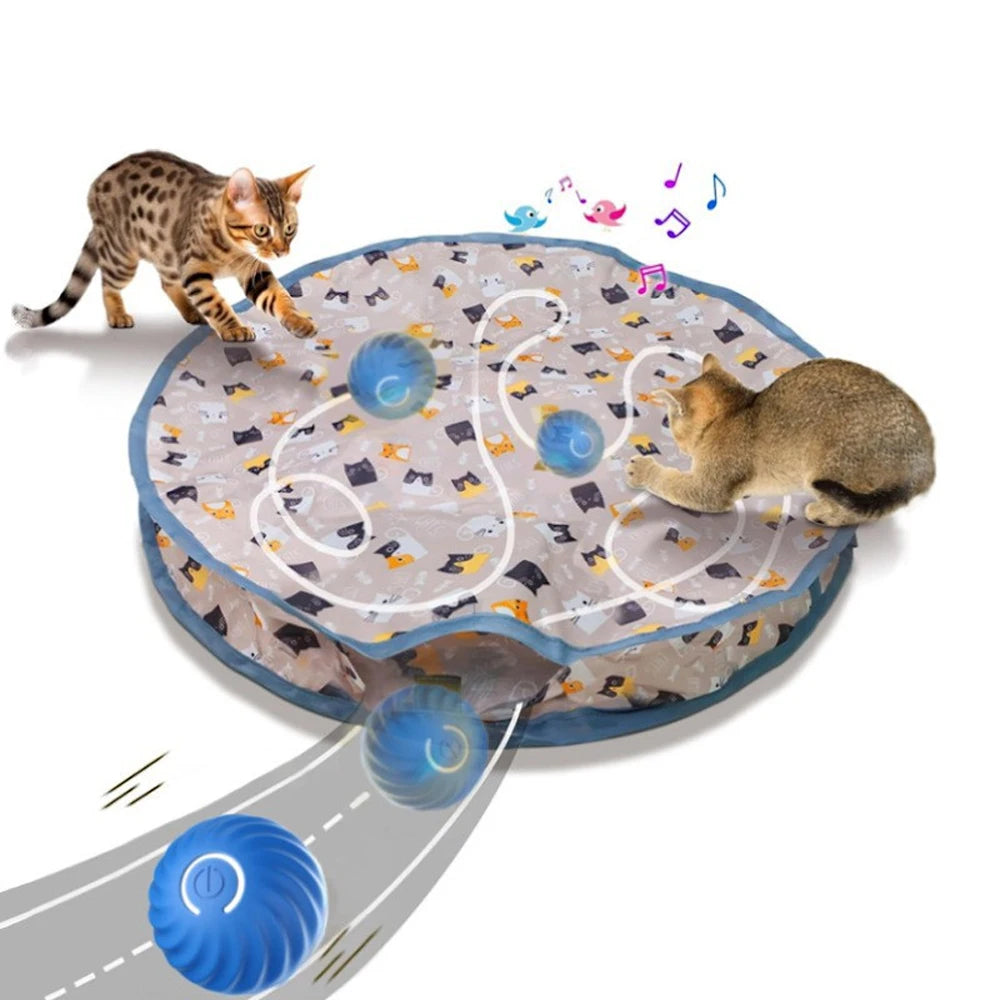 Interactive Cat Hide and Seek