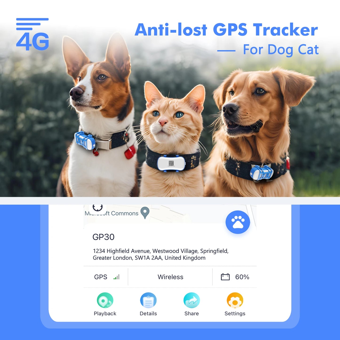 4G GPS Tracker for Pets - Waterproof Smart Locator with App, Live Tracking & Light/Sound Search, Free Trial Included