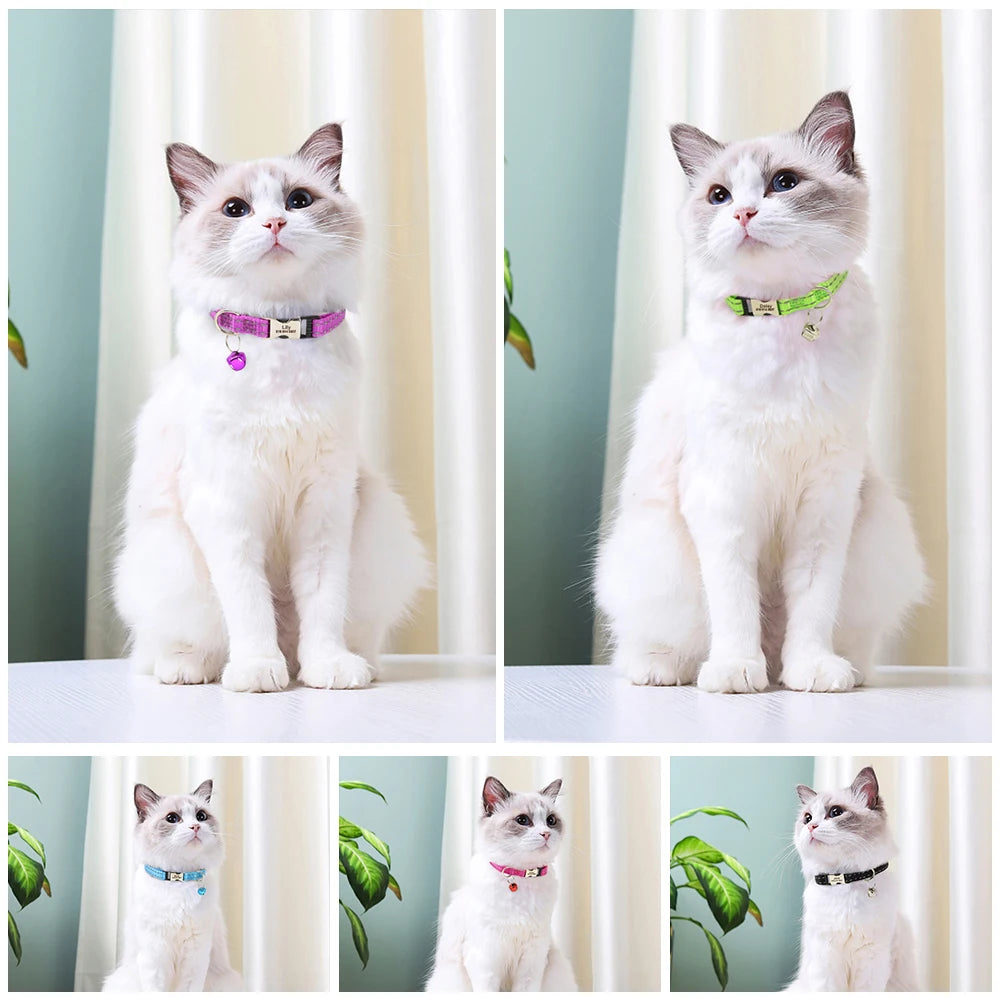 Personalized Cat Collar Reflective Nylon