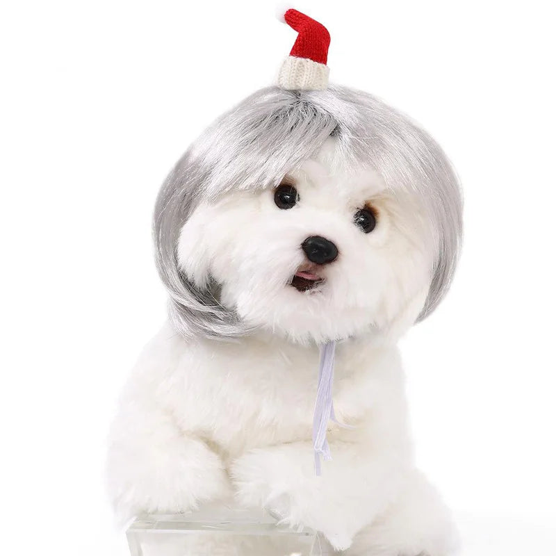 Pet Wig Dog And Cat Spoof Wig