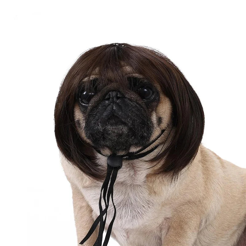 Pet Wig Dog And Cat Spoof Wig