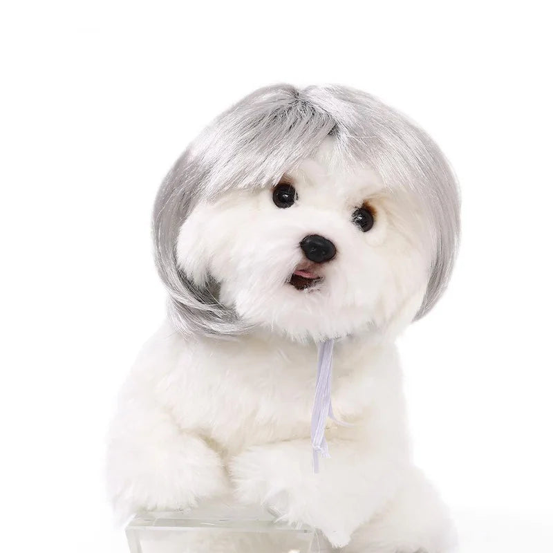 Pet Wig Dog And Cat Spoof Wig