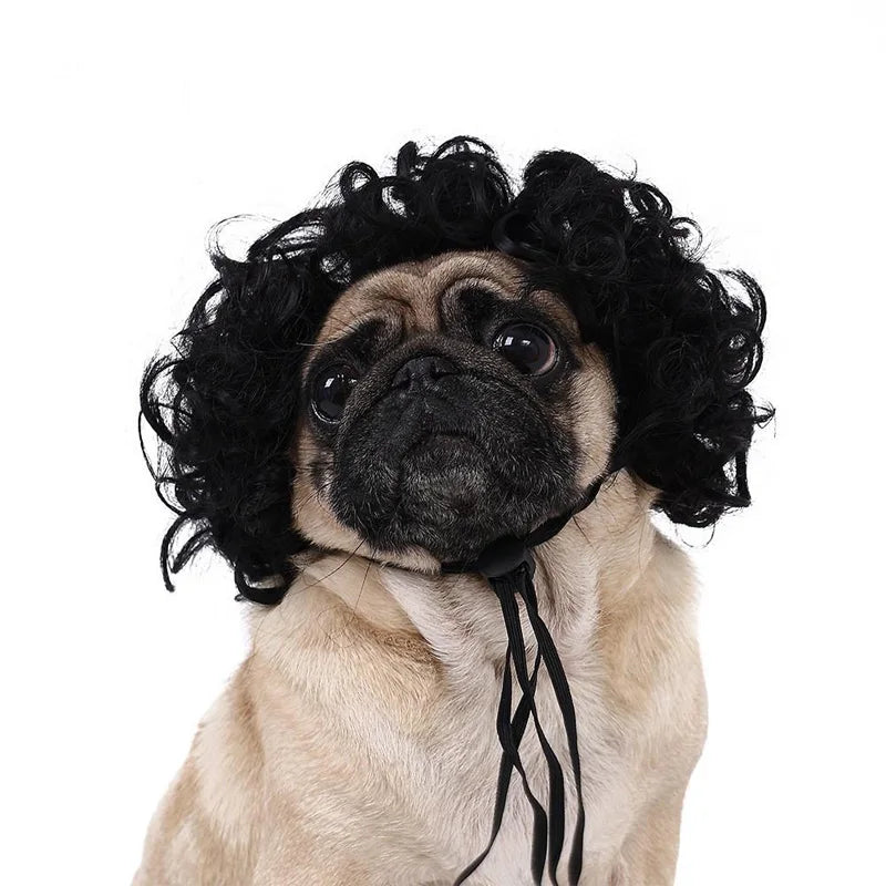 Pet Wig Dog And Cat Spoof Wig