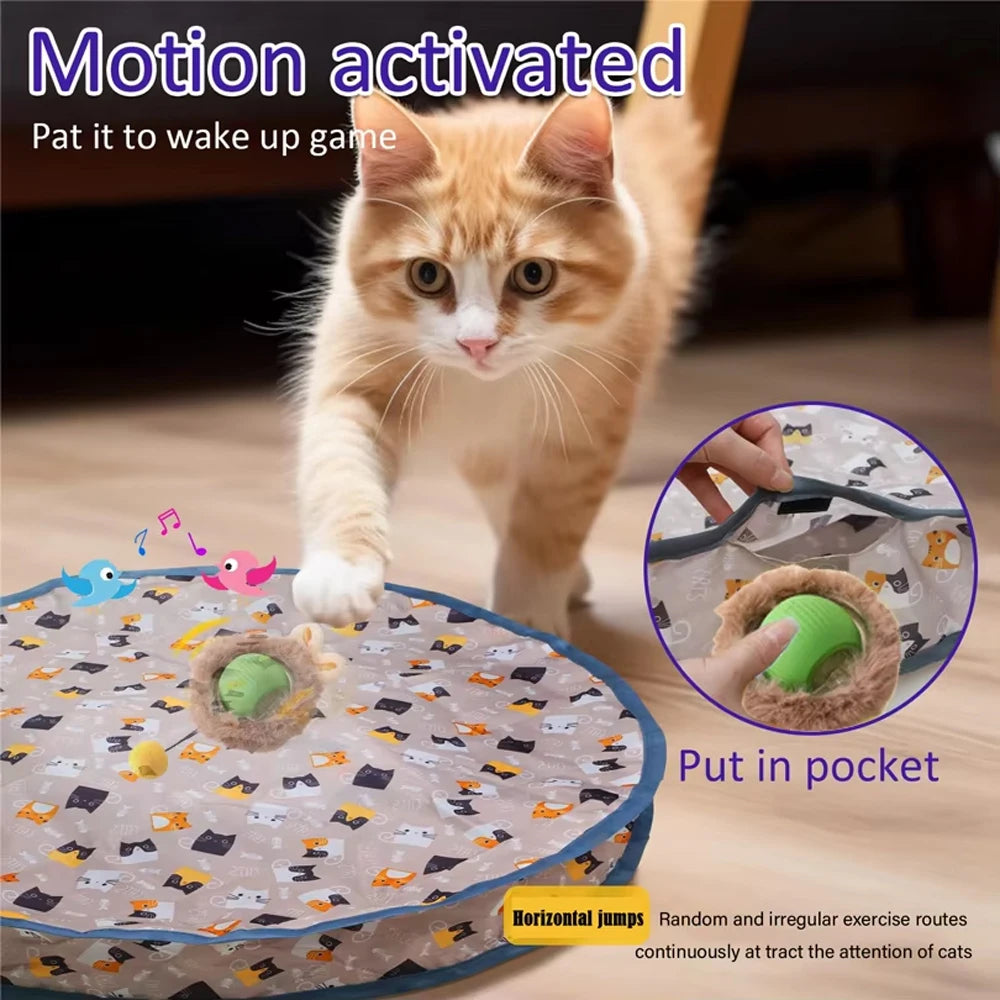 Interactive Cat Hide and Seek