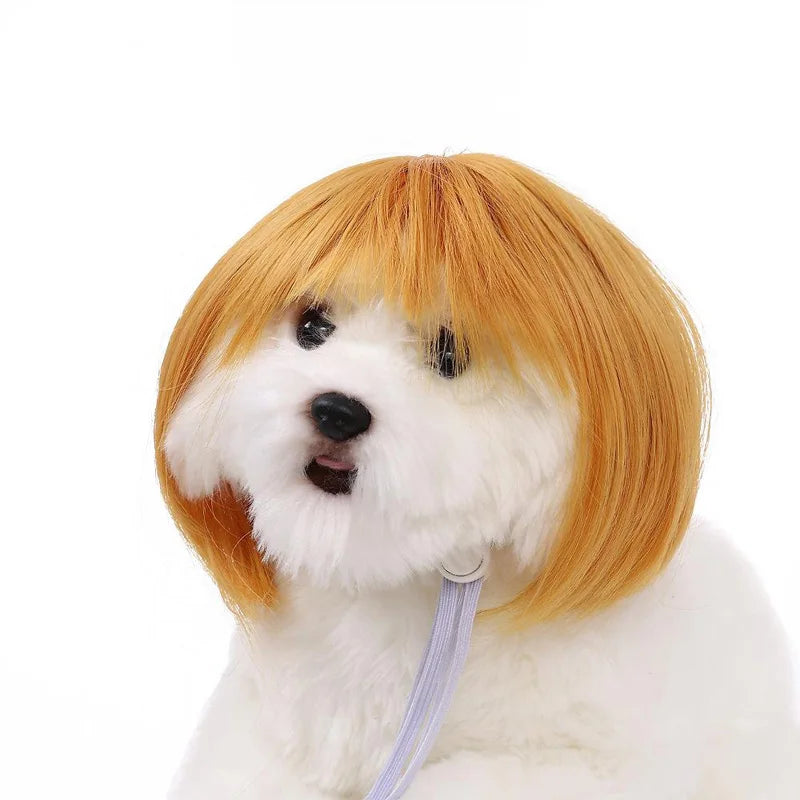 Pet Wig Dog And Cat Spoof Wig