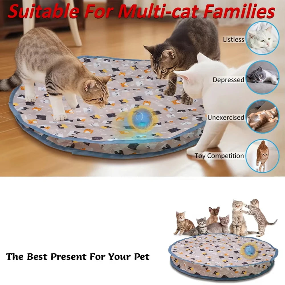 Interactive Cat Hide and Seek