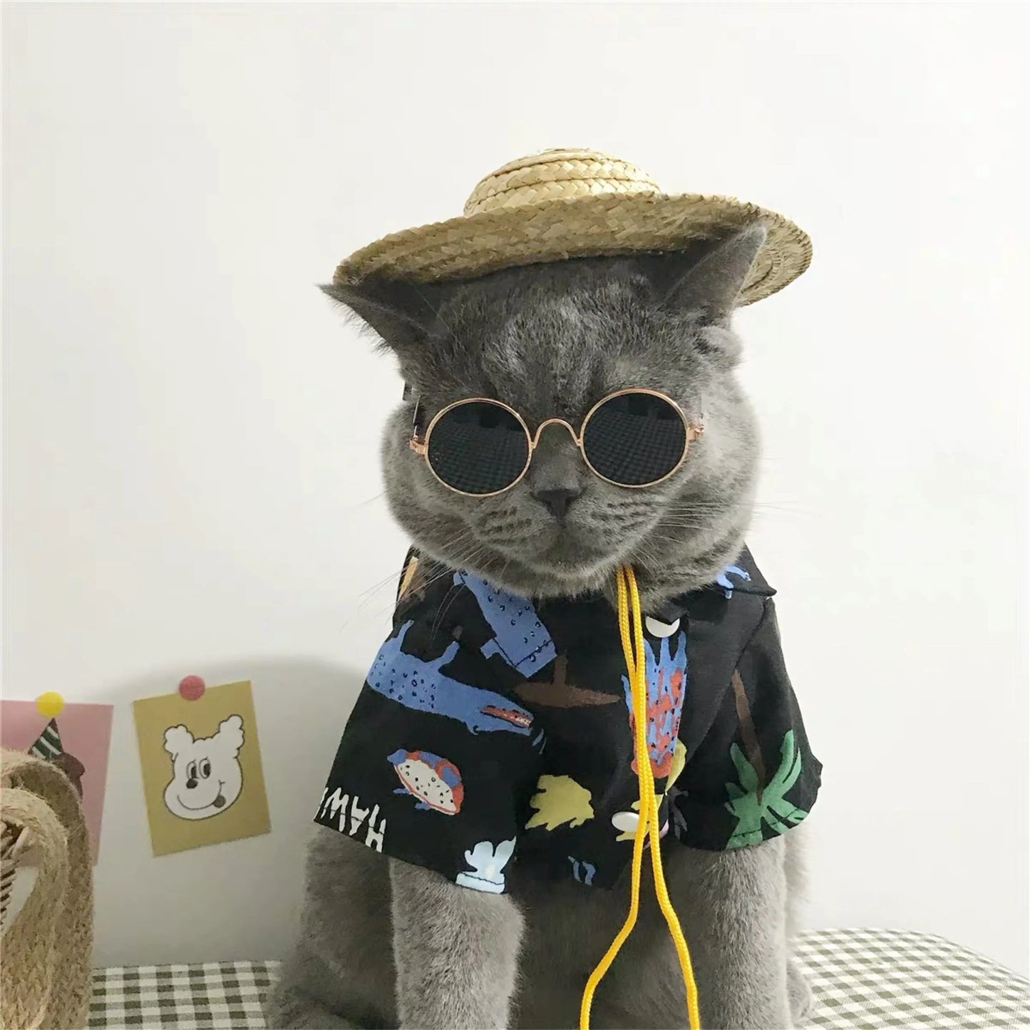 Vintage Round Cat glasses