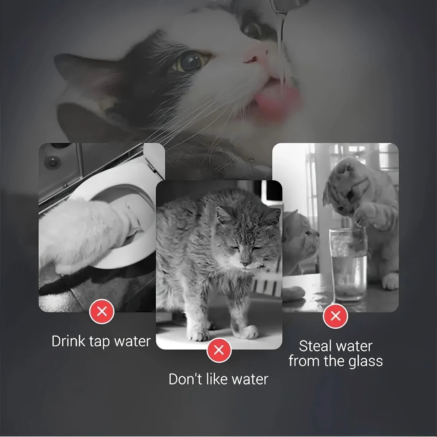 Smart Pet Water Dispenser - 1.8L, Transparent, with Faucet, Filter Feeder for Cats and Dogs