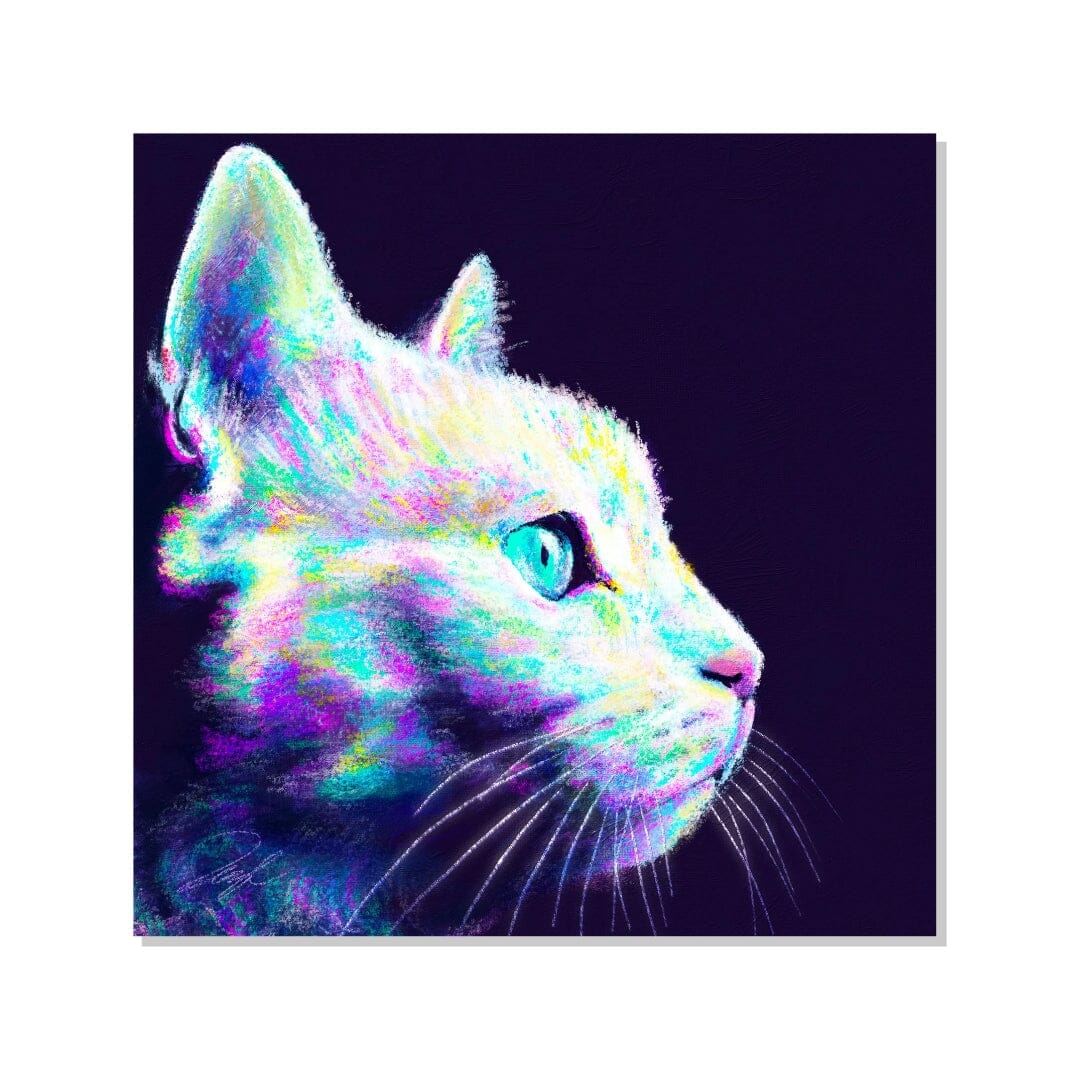 Close Encounters Collection - "Glow" Non-Holographic Matte Sticker - Close Up of a Glowing Grey Cat