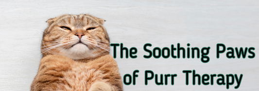 The Soothing Paws of Purr Therapy: A Cat's Way To Healing Depression