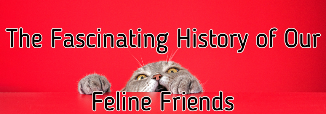 The Fascinating History of Our Feline Friends