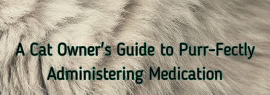 A Cat Owner's Guide to Purr-Fectly Administering Medication: 7 Easy Steps for a Stress-Free Experience