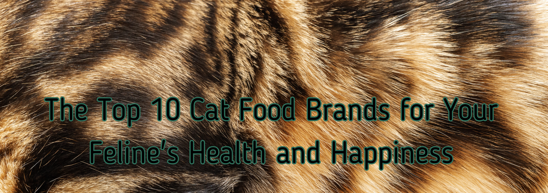 Purr-fectly Delicious: The Top 10 Cat Food Brands for Your Feline's Health and Happiness