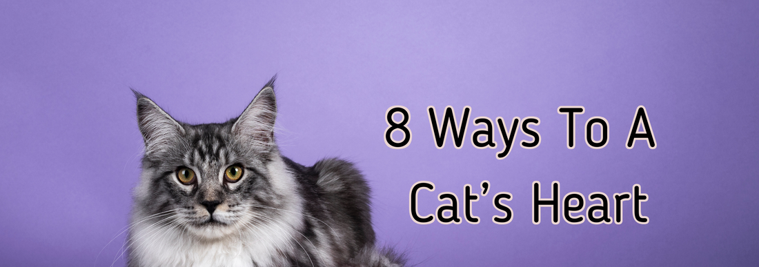 8 Ways To A Cat's ♥