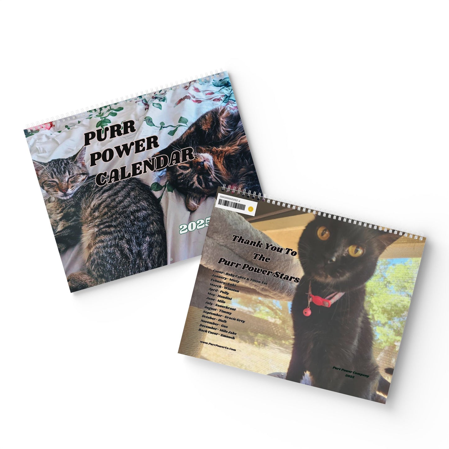 1st Edition Purr Power Calendar (2025)