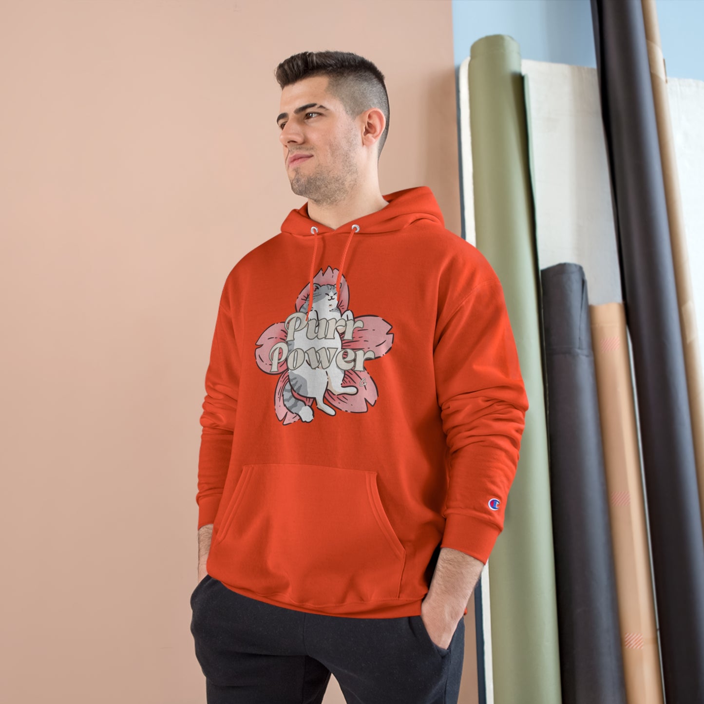 Funny Cat Champion Hoodie by Purr Power Co