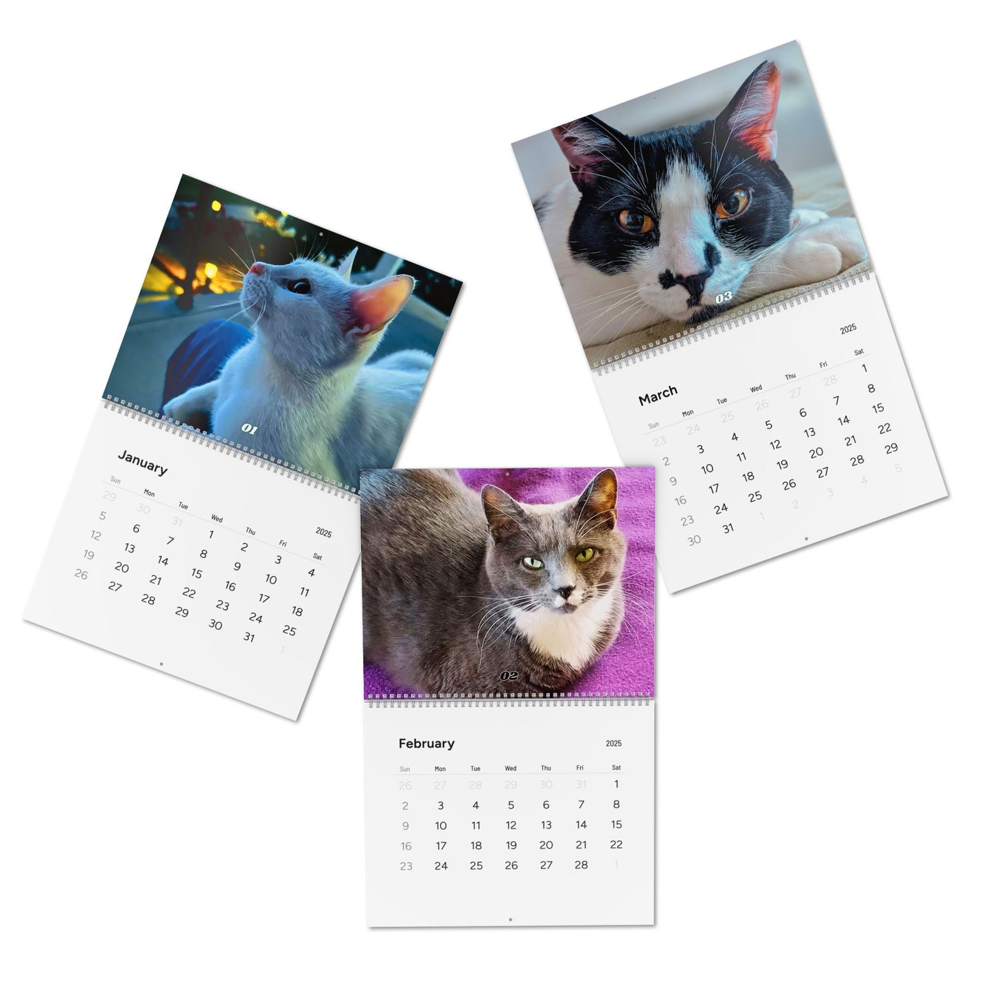 1st Edition Purr Power Calendar (2025)