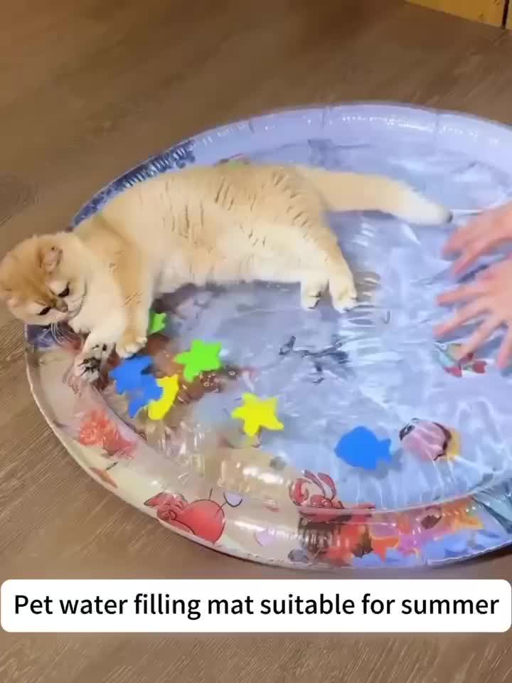 Interactive Cat Water Play Mat