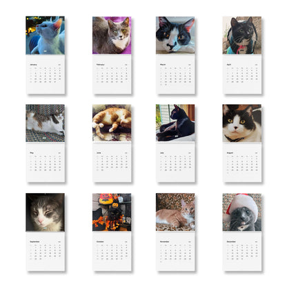 1st Edition Purr Power Calendar (2025)