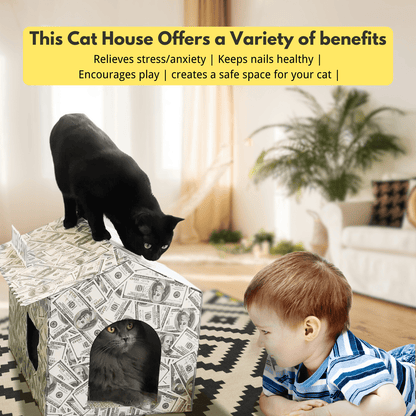 Cardboard Cat House with Scratch Pad