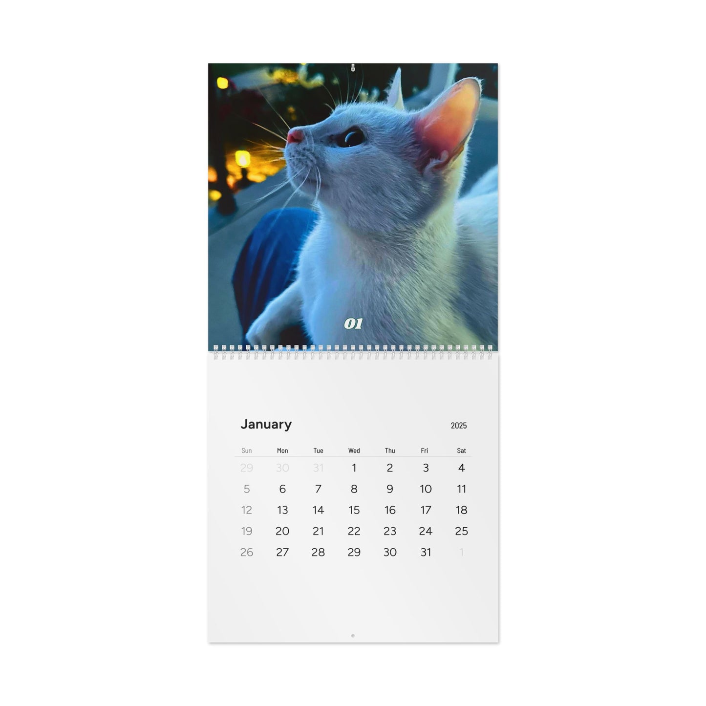 1st Edition Purr Power Calendar (2025)