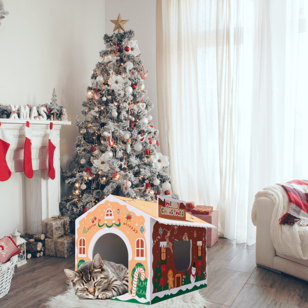 Cardboard Cat House with Scratch Pad