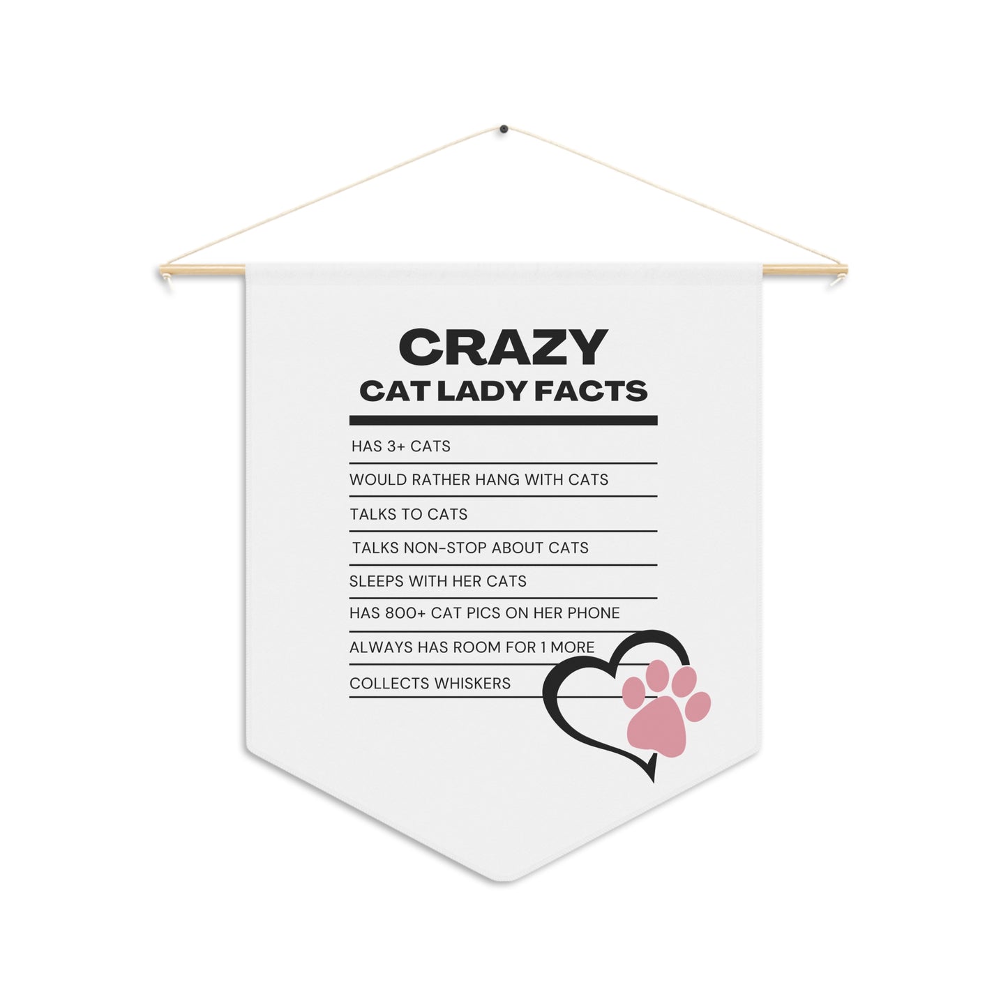 Crazy Cat Lady Facts Pennant