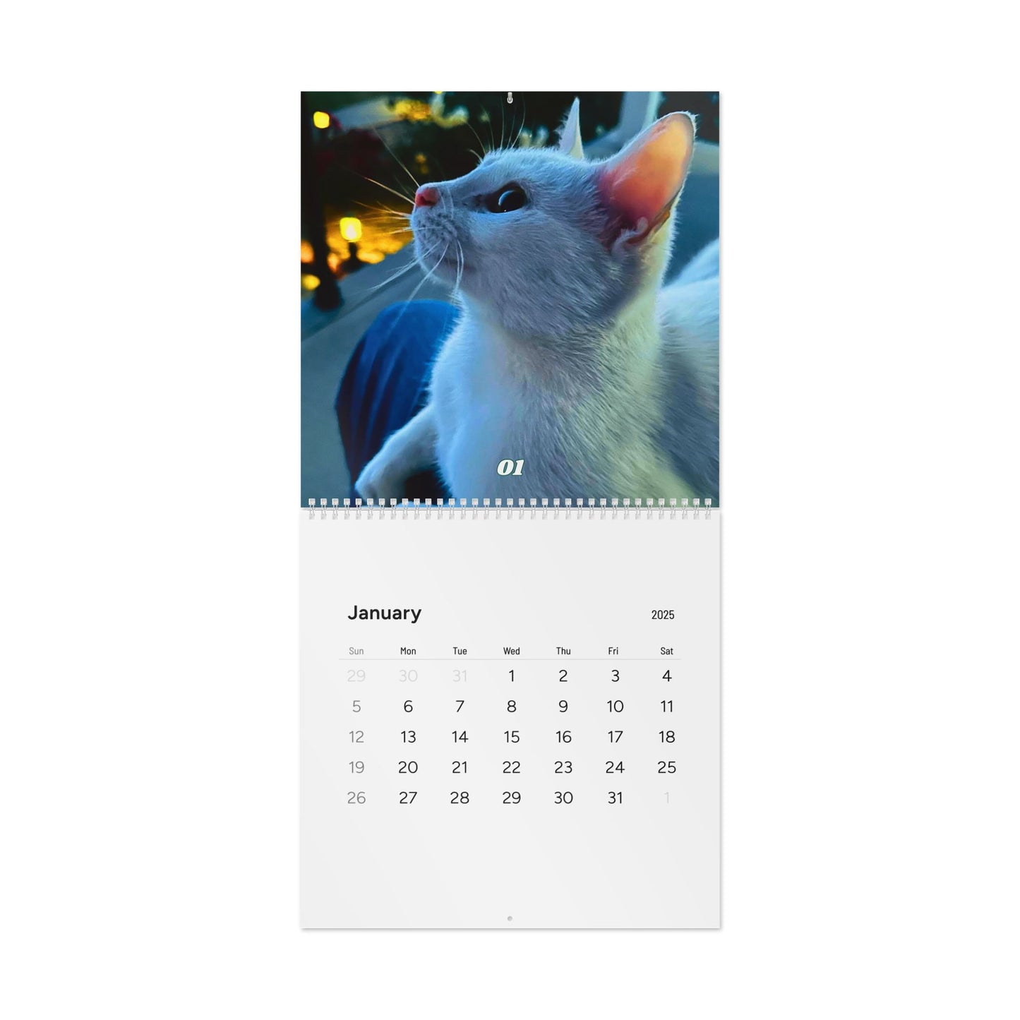 1st Edition Purr Power Calendar (2025)