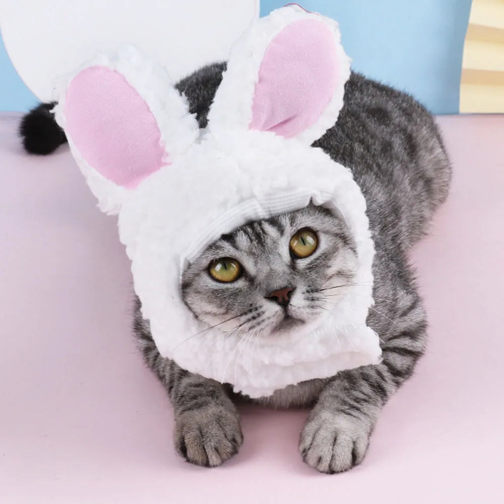 Plush Bunny Ear Cat Hat