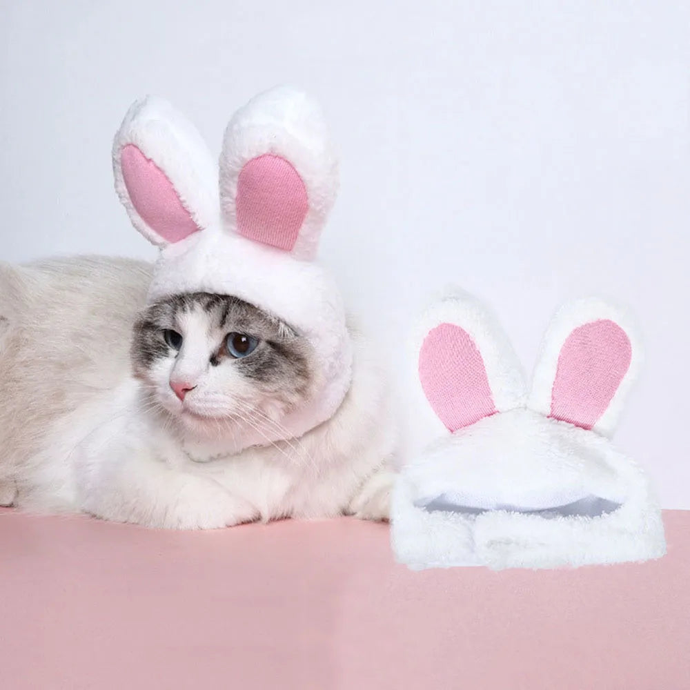 Plush Bunny Ear Cat Hat