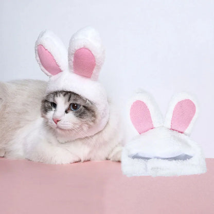 Plush Bunny Ear Cat Hat