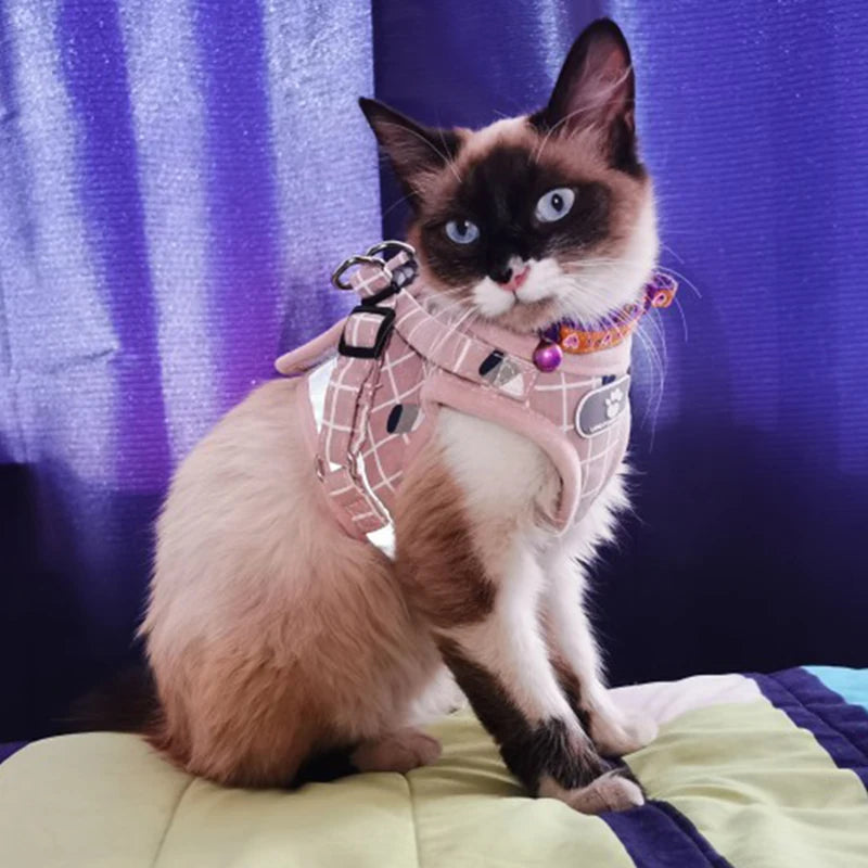 Mesh Cat Harness & Leash Set