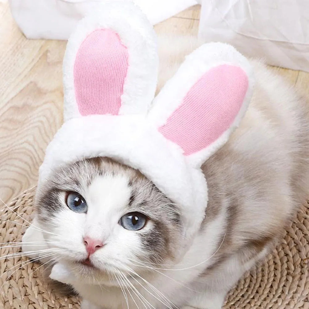 Plush Bunny Ear Cat Hat