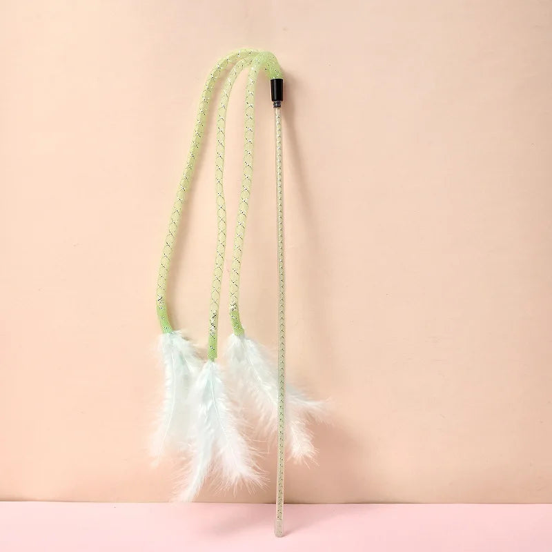 Pretty Feather Teaser Toy