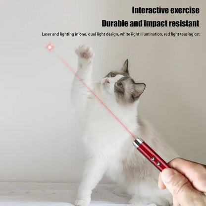 Cat Laser Pointer Toy