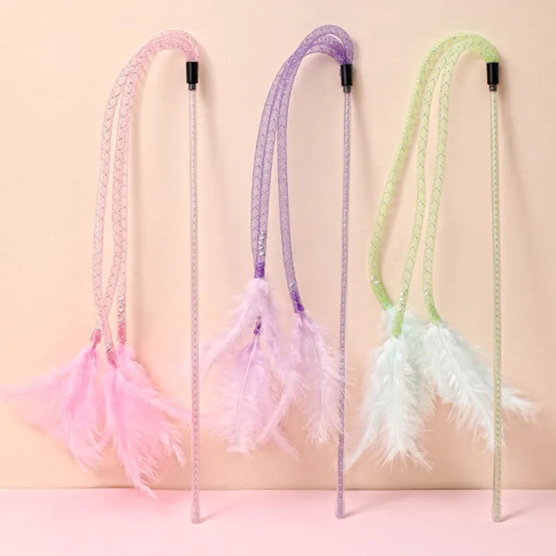 Pretty Feather Teaser Toy