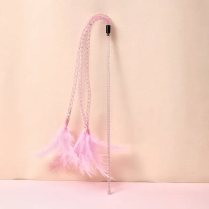 Pretty Feather Teaser Toy