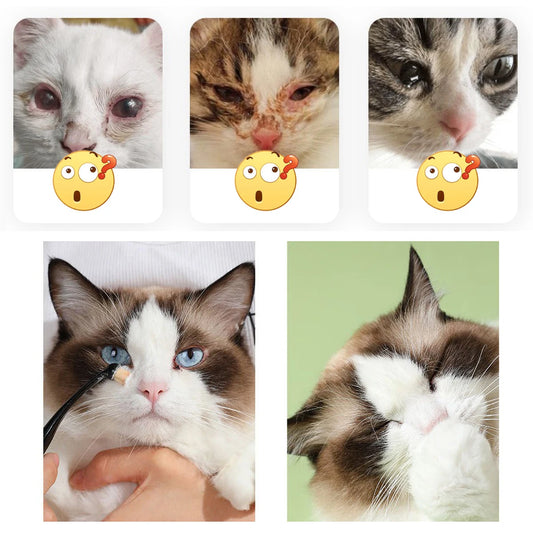 Anti-Static Pet Tear Brush Cat Grooming Tool
