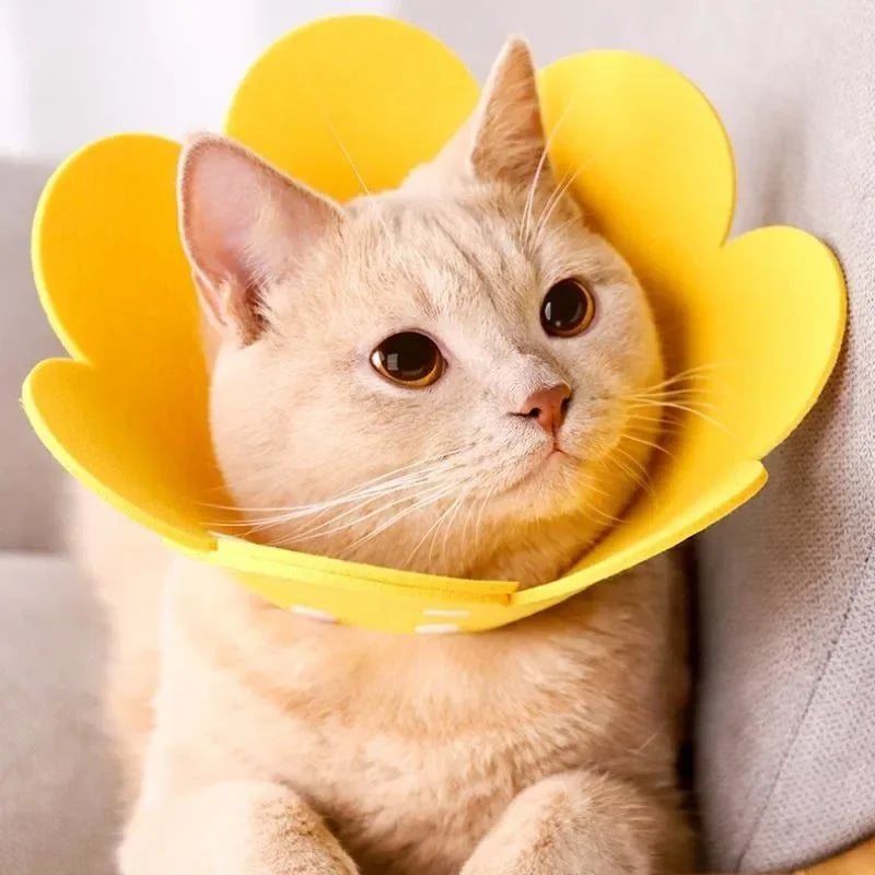 Flower Shape Durable Cat Recovery Collar Adjustable Wound Healing Protective Cone