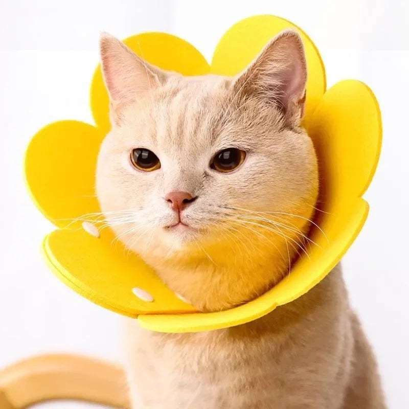 Flower Shape Durable Cat Recovery Collar Adjustable Wound Healing Protective Cone