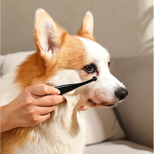 Anti-Static Pet Tear Brush Cat Grooming Tool