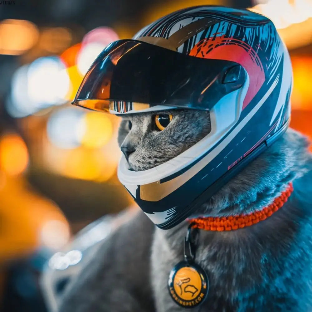 New Mini Cat Helmet