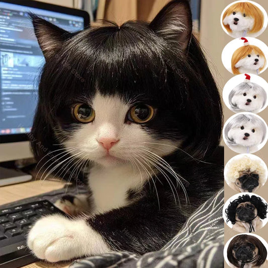 Pet Wig Dog And Cat Spoof Wig