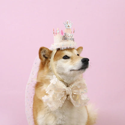 Pet Weddings & Formal Attire