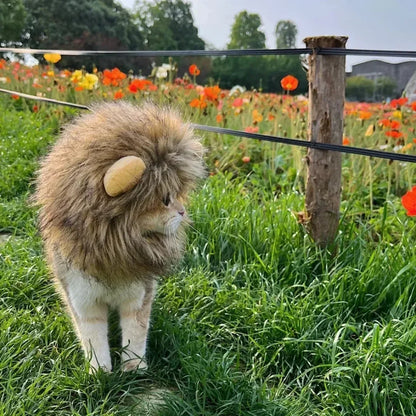 Funny Pet Hat Lion Mane for Cats